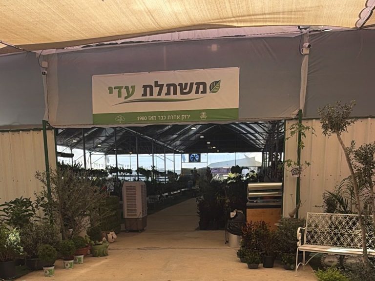 השביל הראשי מתחת לרשת ההצללה במשתלת עדי